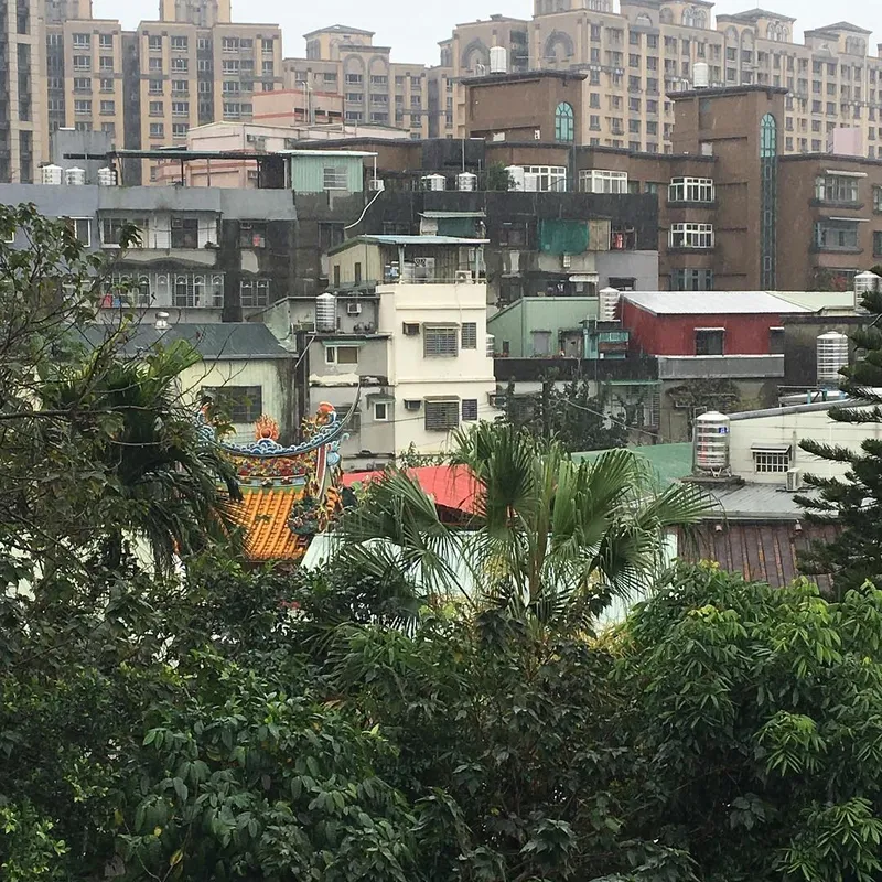 A dense urban Taiwanese neighbourhood with a colourful temple roof peeking through palm trees