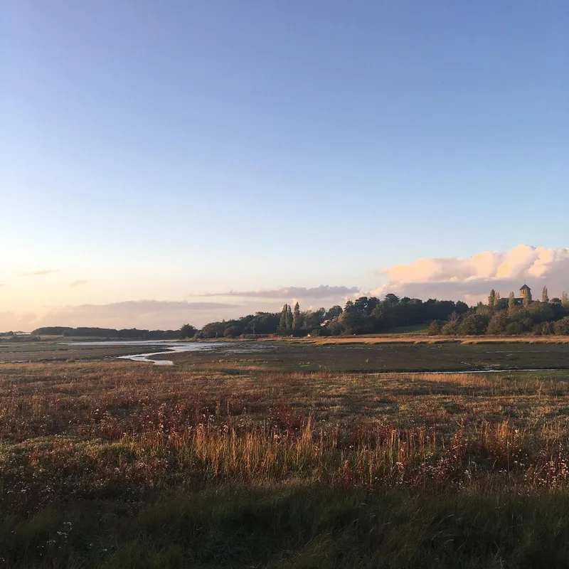 A golden-hour landscape of marshland with a church tower visible in the distance