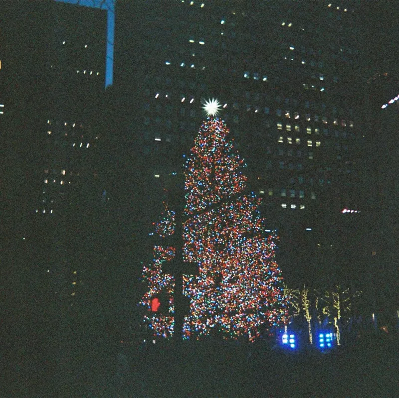 Illuminated Christmas tree at night surrounded by city skyscrapers