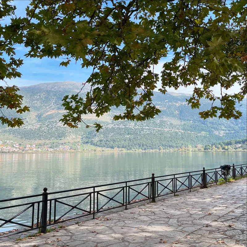 A lakeside promenade with tree branches overhead and mountains across the water