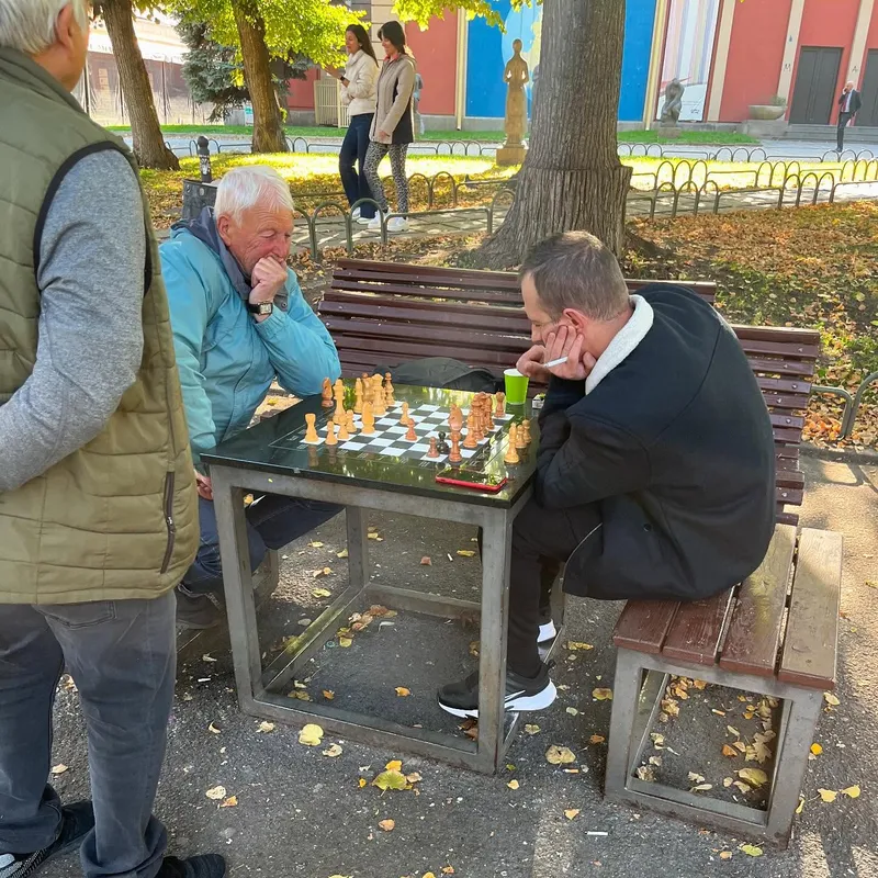 Two men playing chess on a park bench
