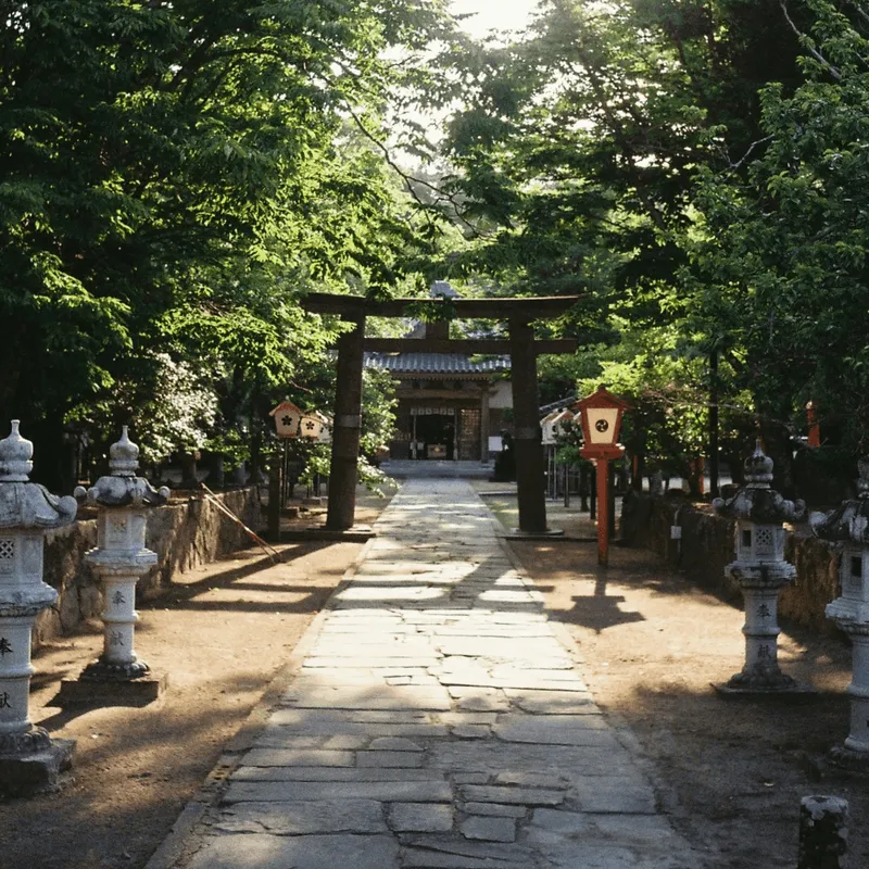 Forest path leading to a Japanese temple through a torii gate in Itoshima, Japan